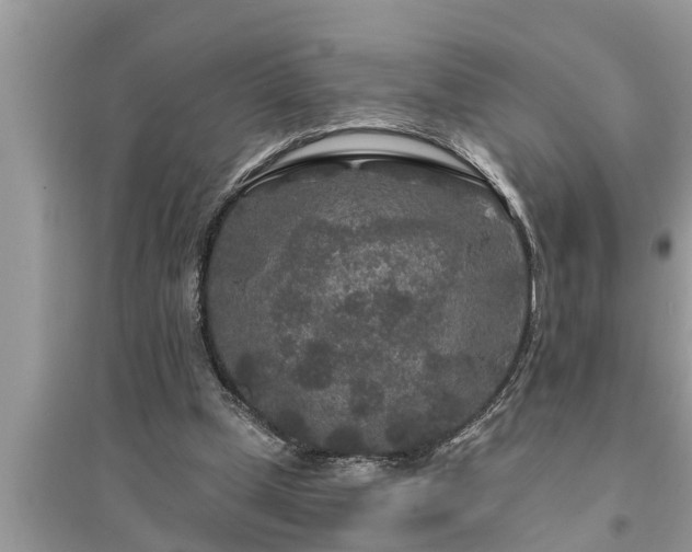 X0000095530249200712211332