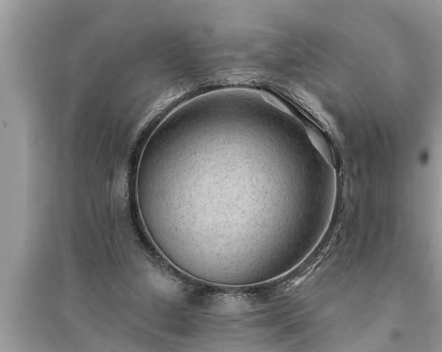 X0000095530250200712211332