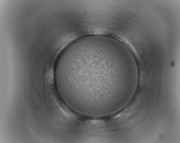 X0000095530251200712211332