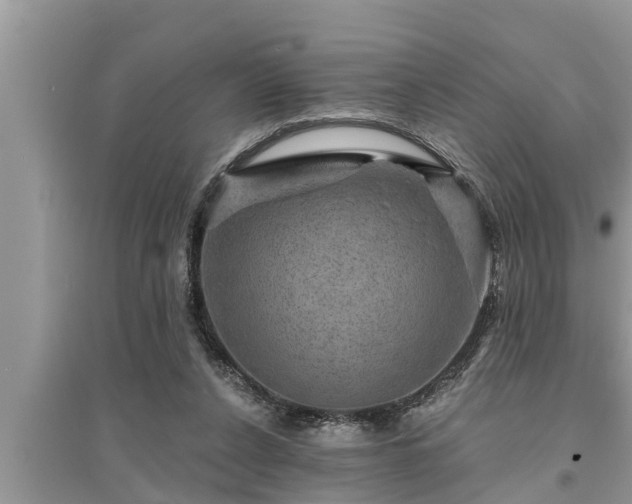 X0000095530256200712211332