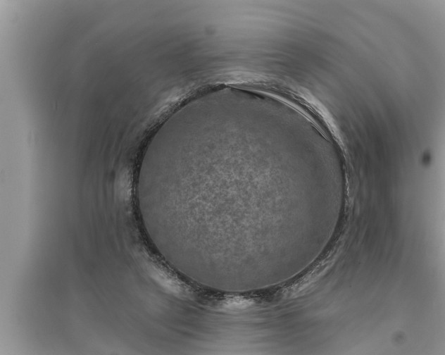 X0000095530257200712211332