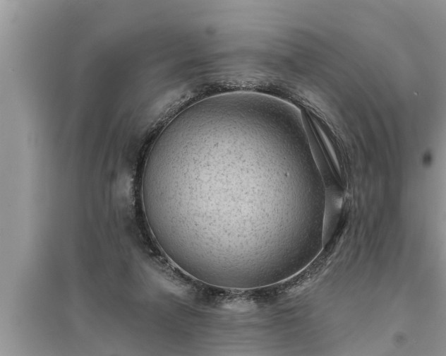 X0000095530258200712211332