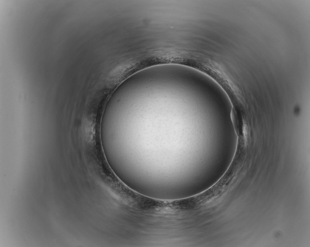 X0000095530259200712211332