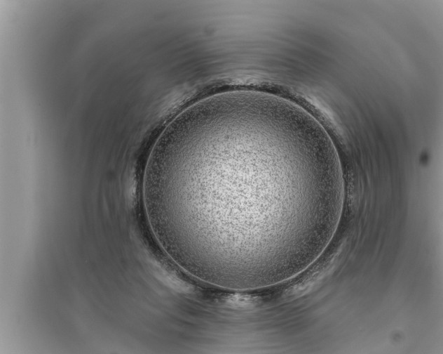 X0000095530261200712211332