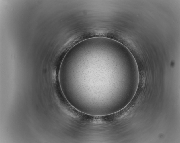 X0000095530262200712211332