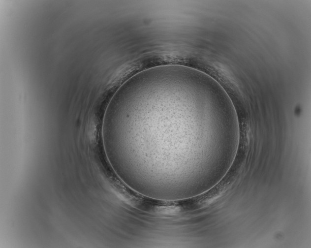 X0000095530266200712211332