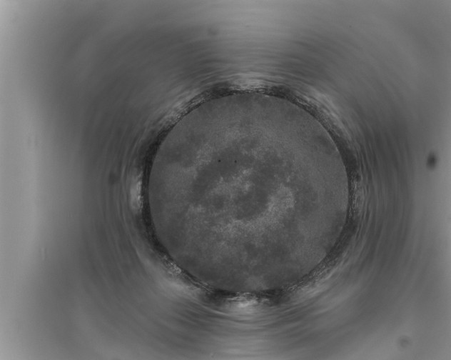 X0000095530267200712211332