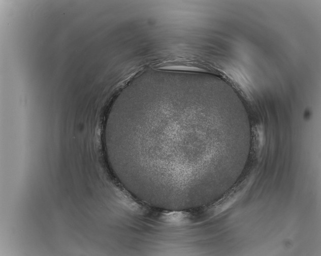 X0000095530269200712211332