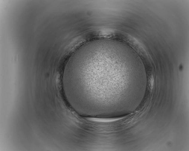 X0000095530270200712211332