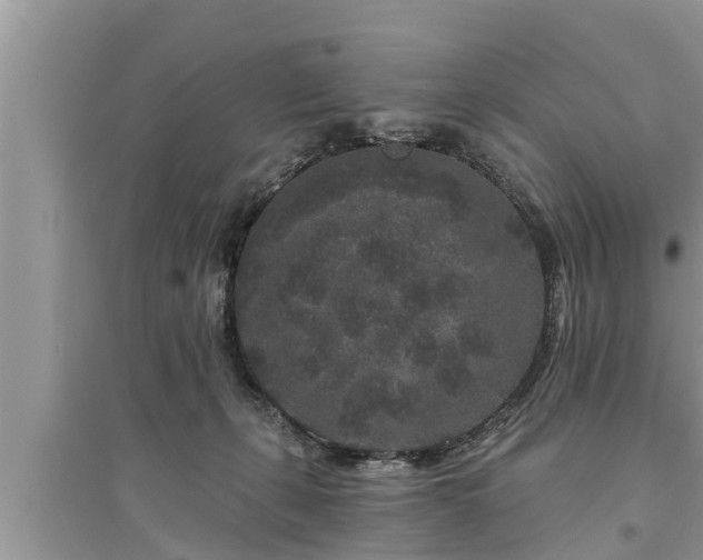 X0000095530271200712211332