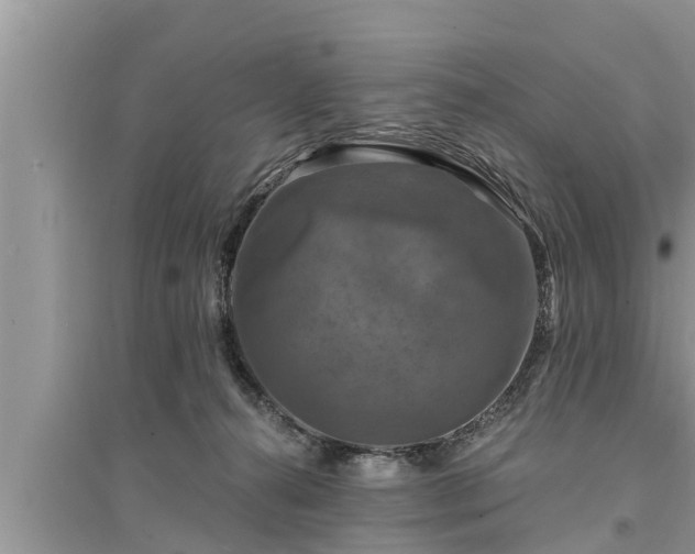 X0000095530272200712211332