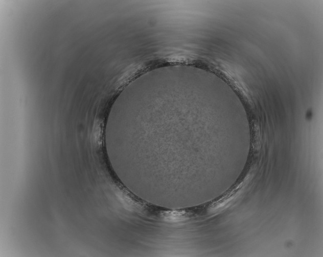 X0000095530273200712211332