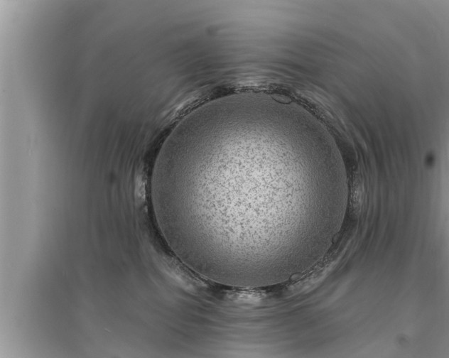 X0000095530282200712211332