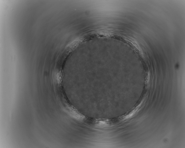 X0000095530285200712211332