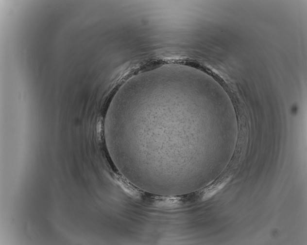 X0000095530288200712211332