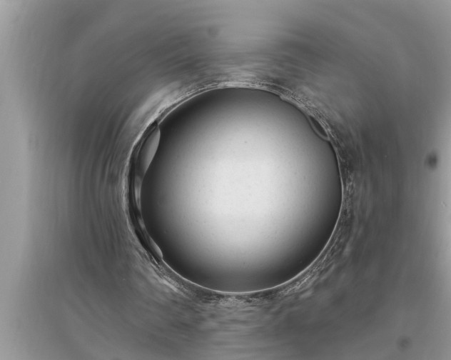 X0000095530290200712211332