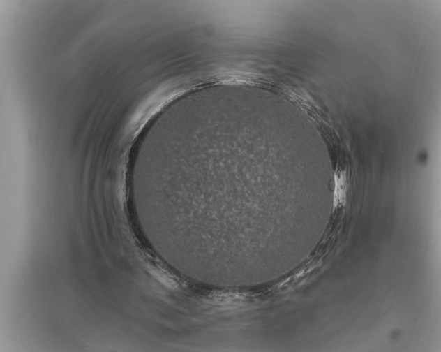 X0000095530291200712211332