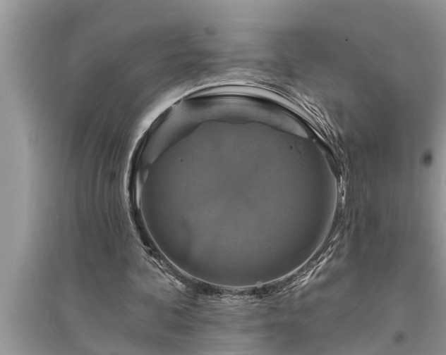 X0000095530292200712211332