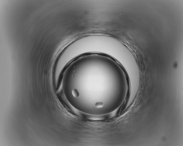 X0000095530293200712211332