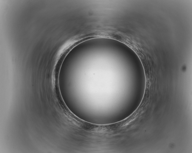 X0000095530294200712211332
