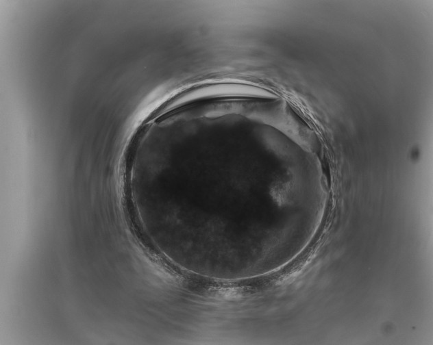 X0000095530295200712211332