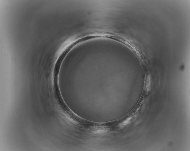 X0000095530296200712211332