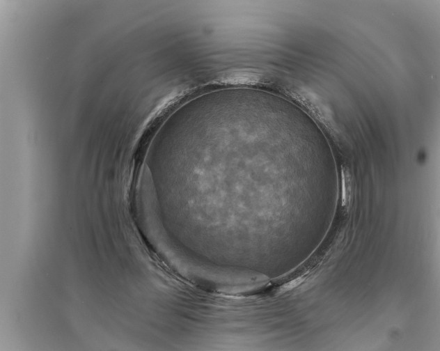 X0000095530300200712211332