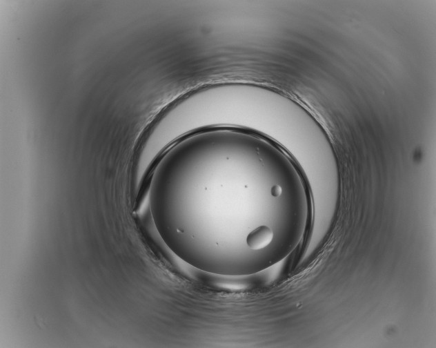 X0000095530301200712211332