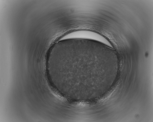 X0000095530303200712211332