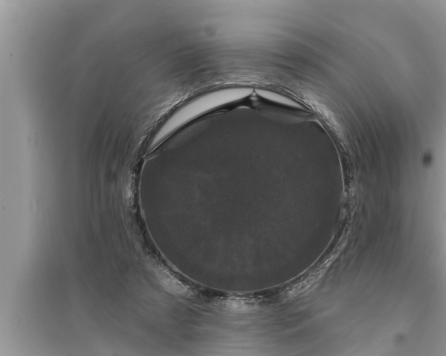 X0000095530305200712211332
