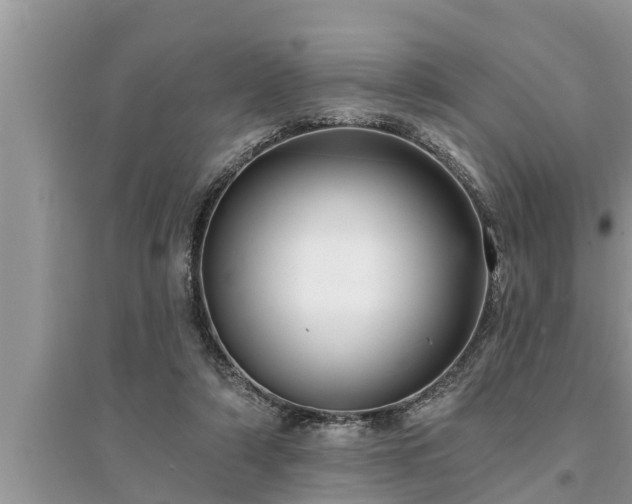 X0000095530306200712211331