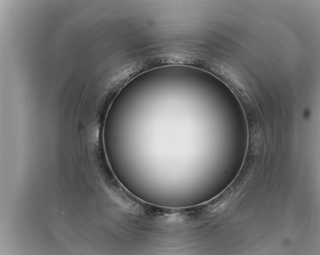 X0000095530310200712211331