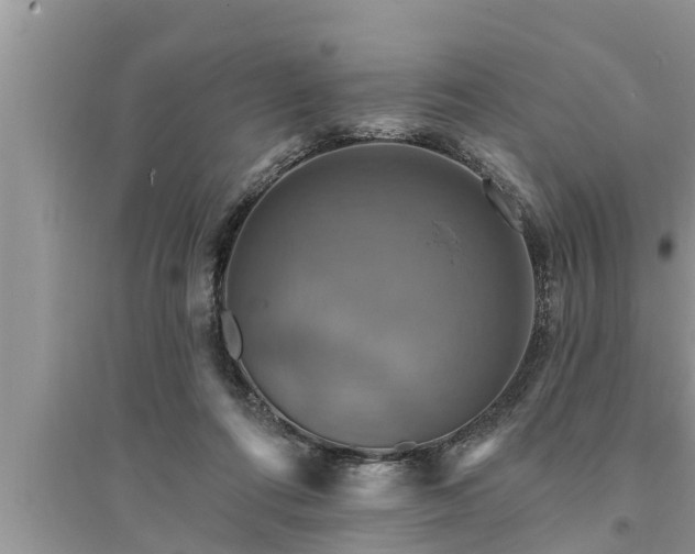 X0000095530312200712211331