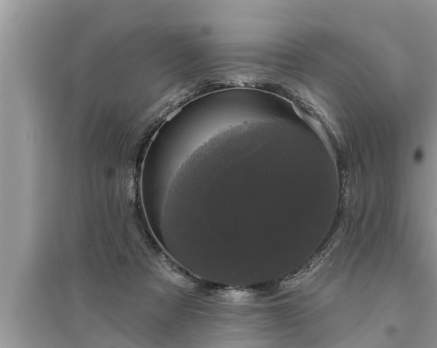 X0000095530313200712211331