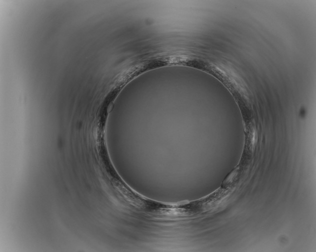 X0000095530316200712211331