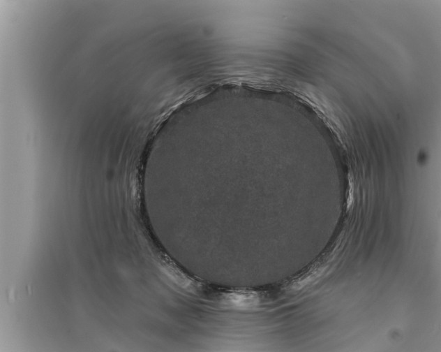 X0000095530317200712211331