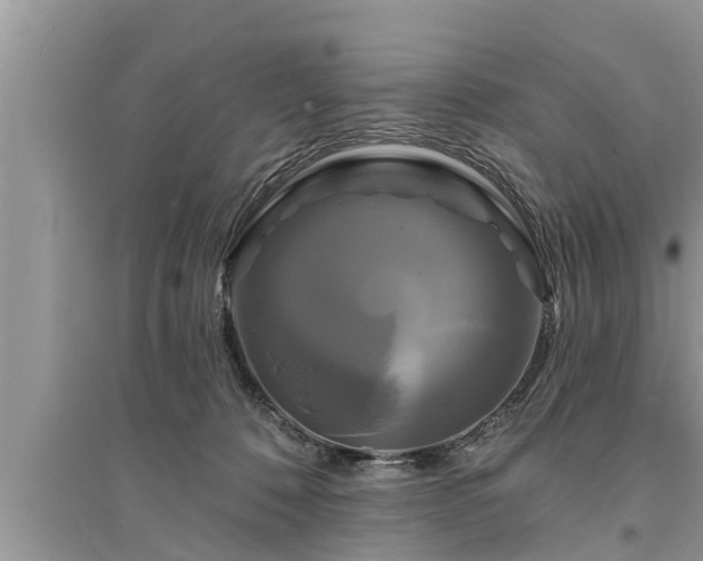 X0000095530320200712211331