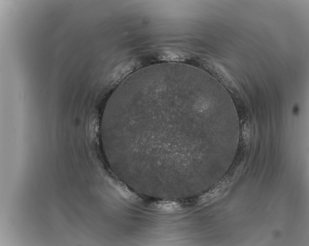 X0000095530322200712211331