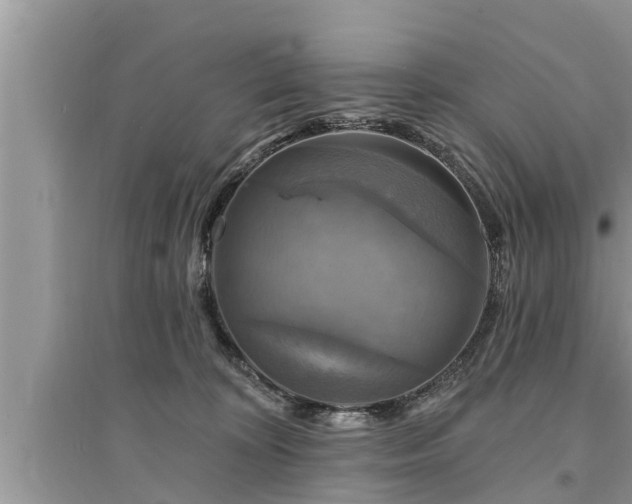 X0000095530324200712211331