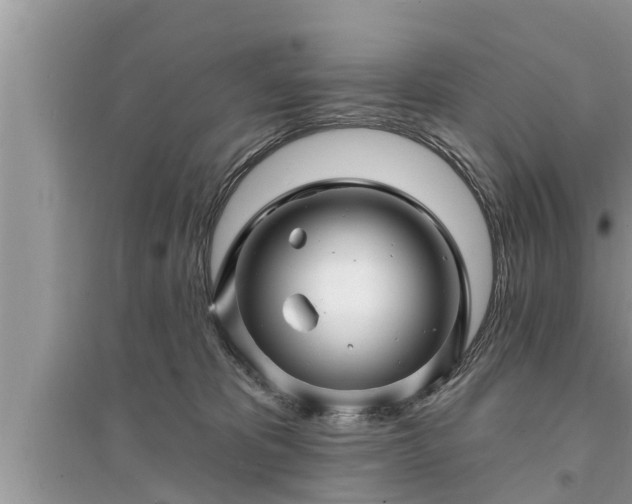 X0000095530325200712211331