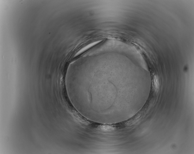 X0000095530327200712211331