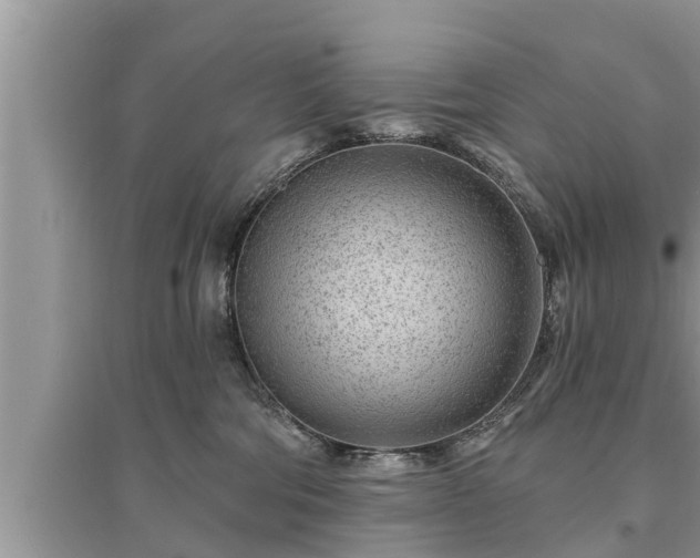 X0000095530330200712211331