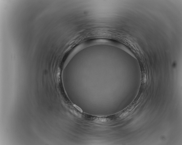 X0000095530332200712211331
