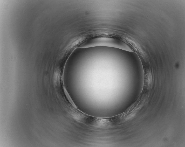 X0000095530333200712211331