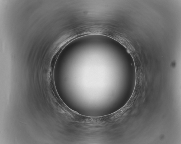 X0000095530338200712211330