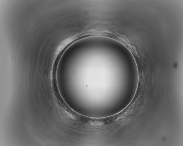 X0000095530340200712211330