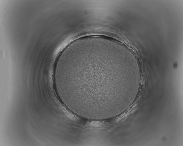 X0000095530341200712211330