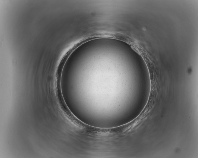 X0000095530342200712211330