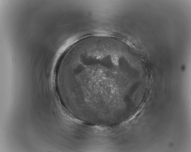X0000095530343200712211330