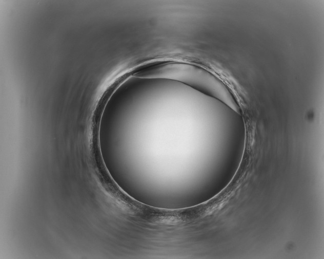 X0000095530344200712211330